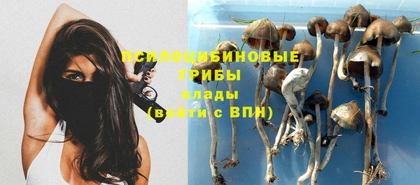 синтетический гашиш Нефтегорск