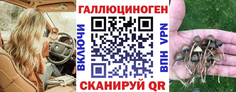 Галлюциногенные грибы Psilocybine cubensis  Менделеевск 